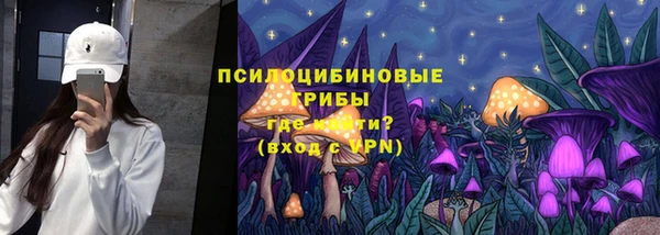 PSILOCYBIN Володарск