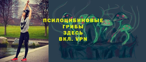 PSILOCYBIN Володарск