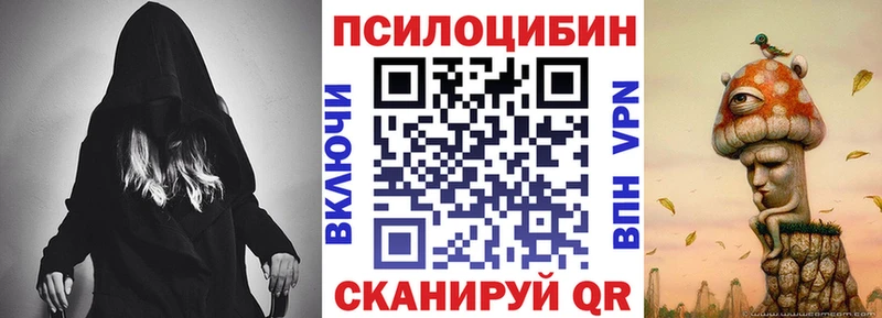 где купить наркоту  дарк нет как зайти  Псилоцибиновые грибы Psilocybine cubensis  Плёс 